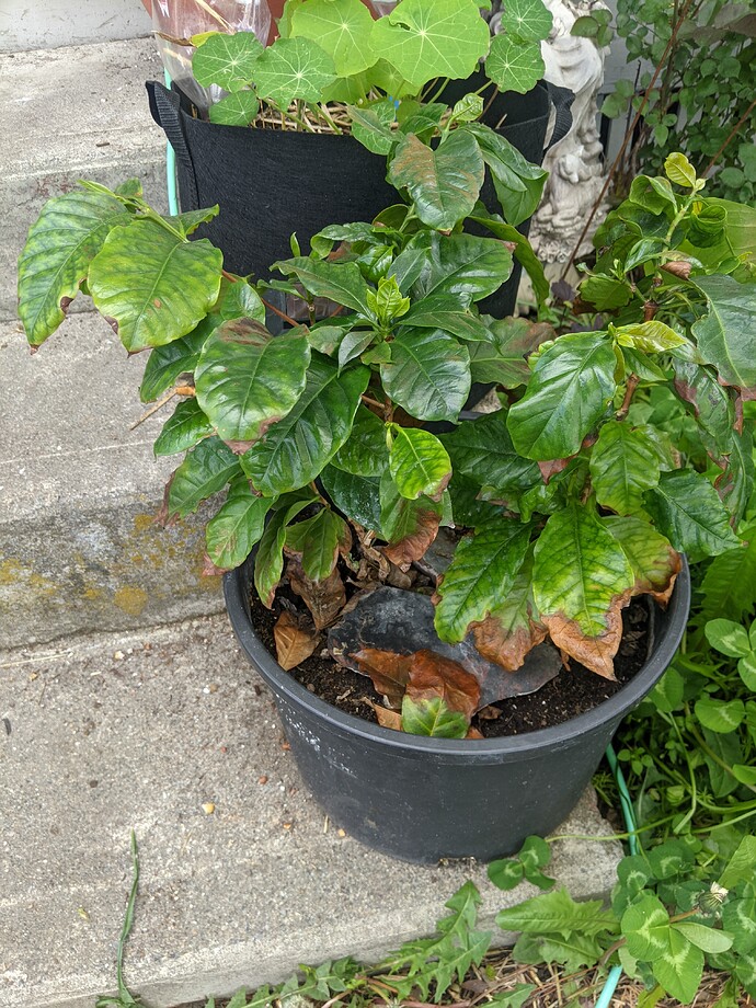 PXL_20220606_194508585