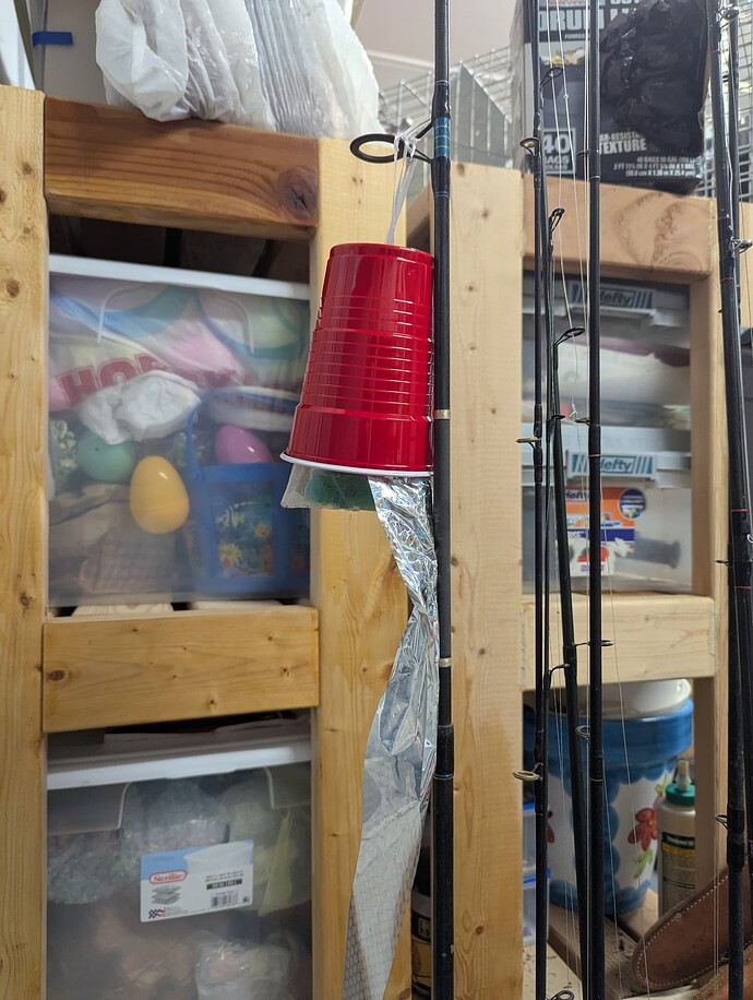 PXL_20250522_005255370