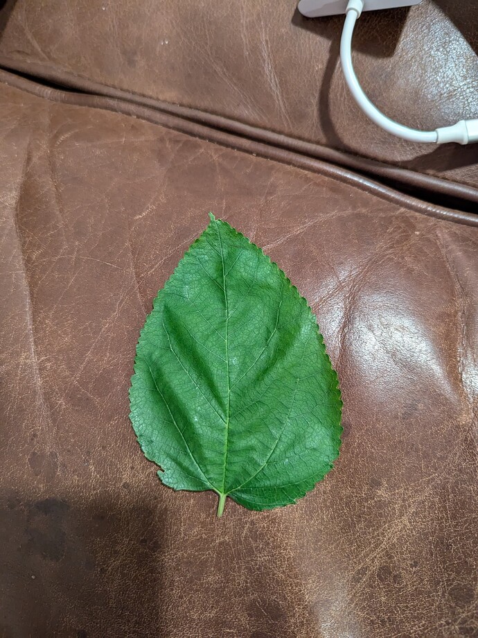 PXL_20240712_005914264