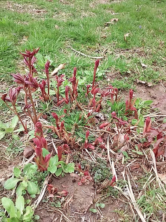 20180401_175008
