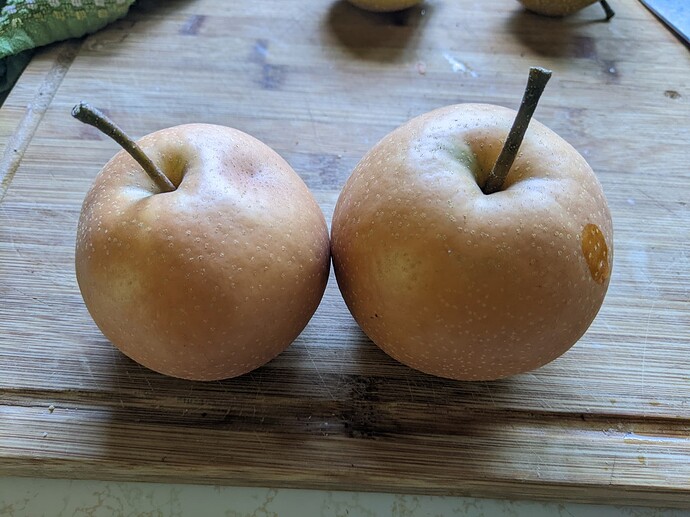 PXL_20220829_200235780