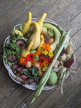 PXL_20240925_231524573