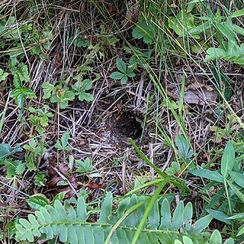 PXL_20210716_230727182.MP