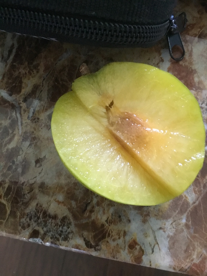 E67F0DB0-C624-4C0C-BD44-B6B62FAA02ED