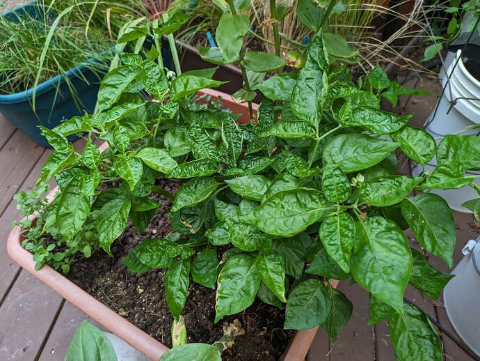 PXL_20230901_015356090