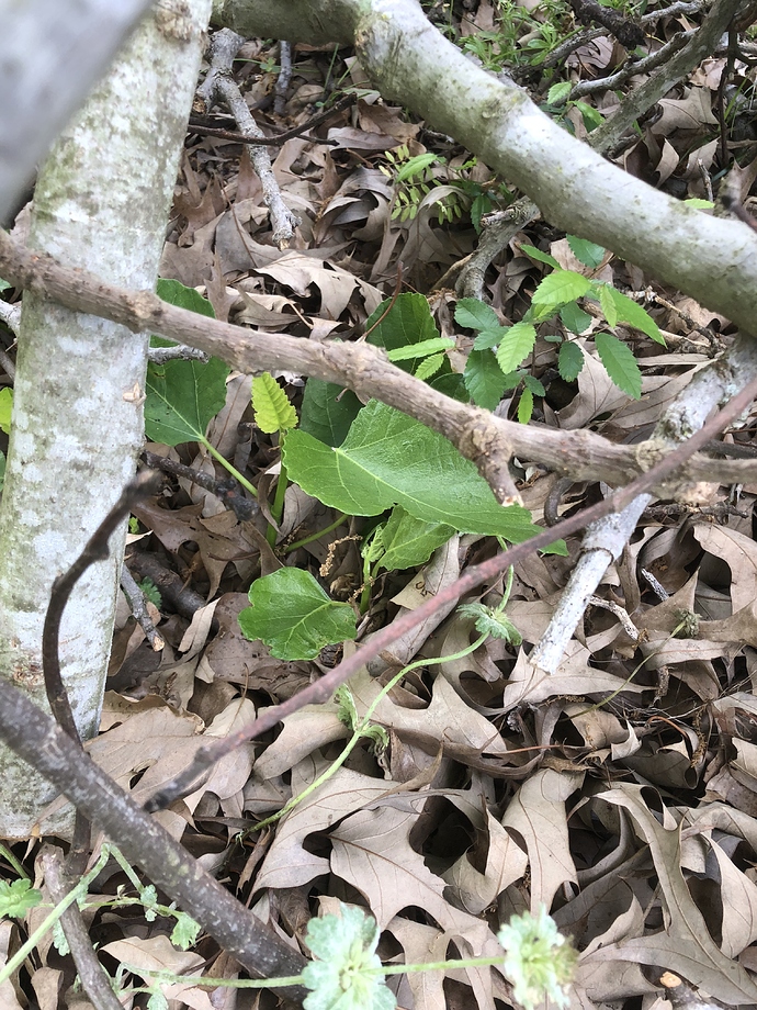 07727BA7-6936-4638-8EBE-86B74C1B47B7