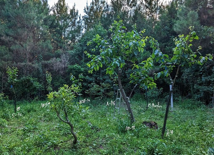 PXL_20230627_231421535~6