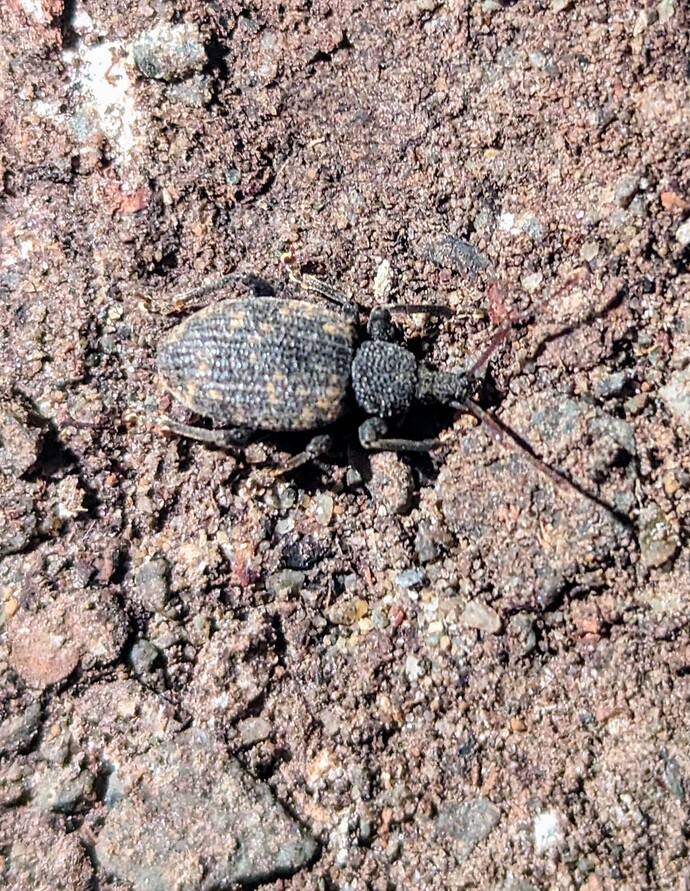 PXL_20240530_043735602