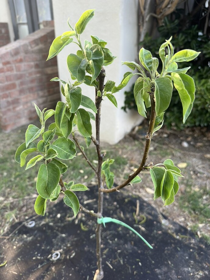 6754A90C-7F7C-45C4-9890-E9FF452016DF_1_105_c