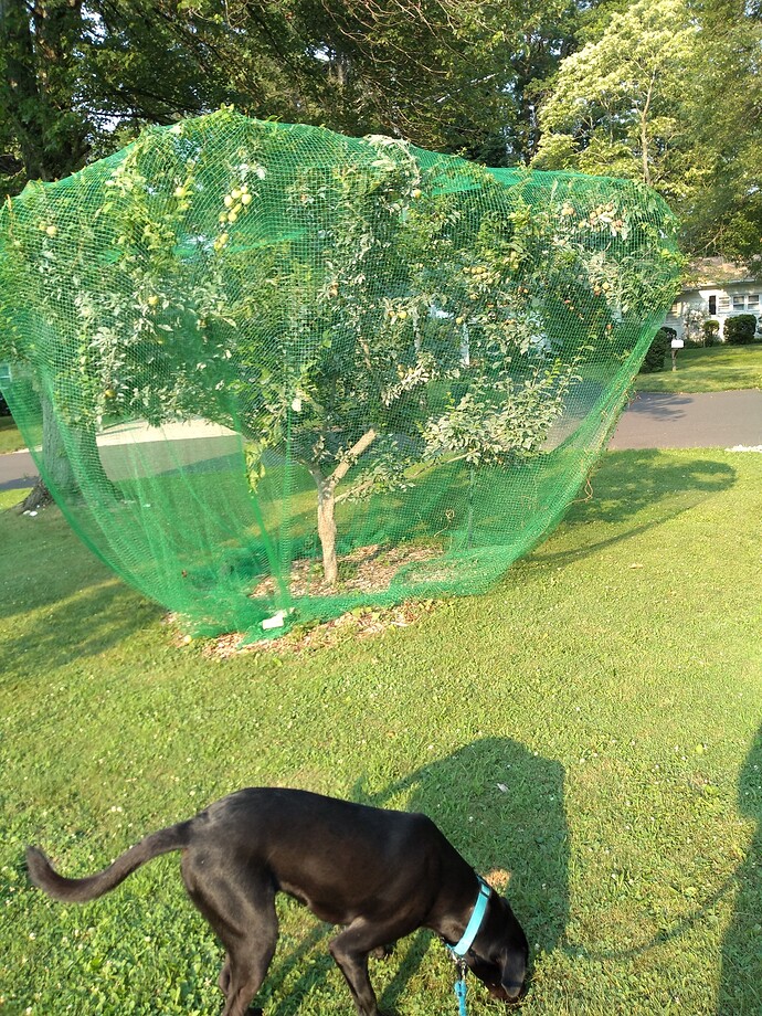 IMG_20210707_182059140