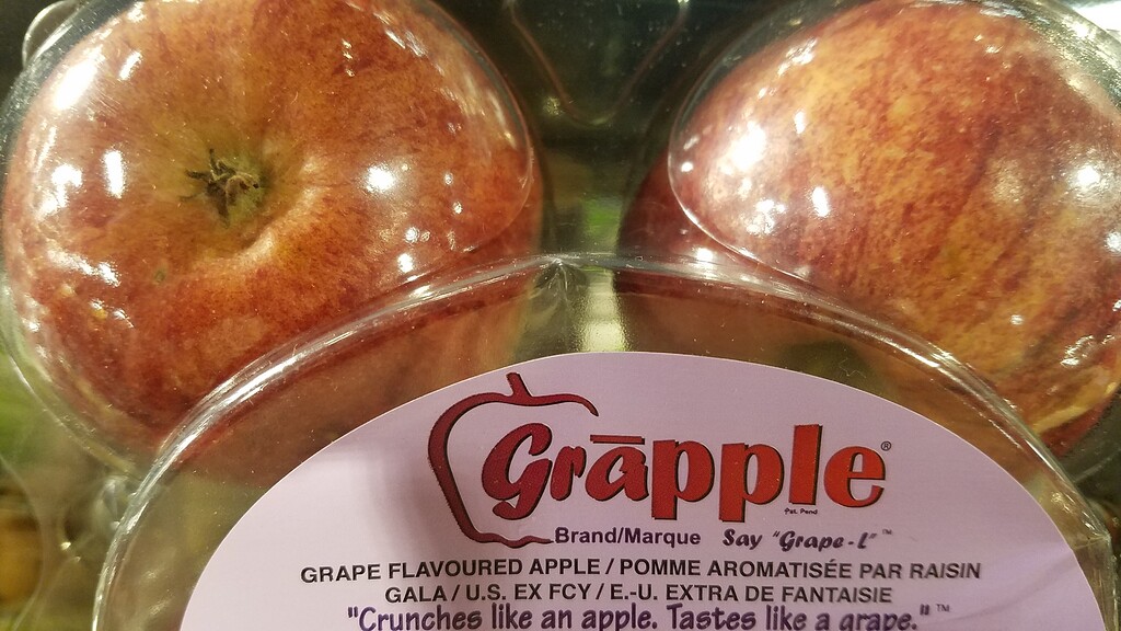 Grape flavored apples? General Fruit Growing Growing Fruit