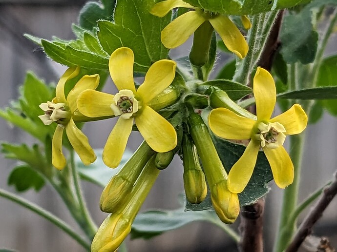 PXL_20230523_104035964