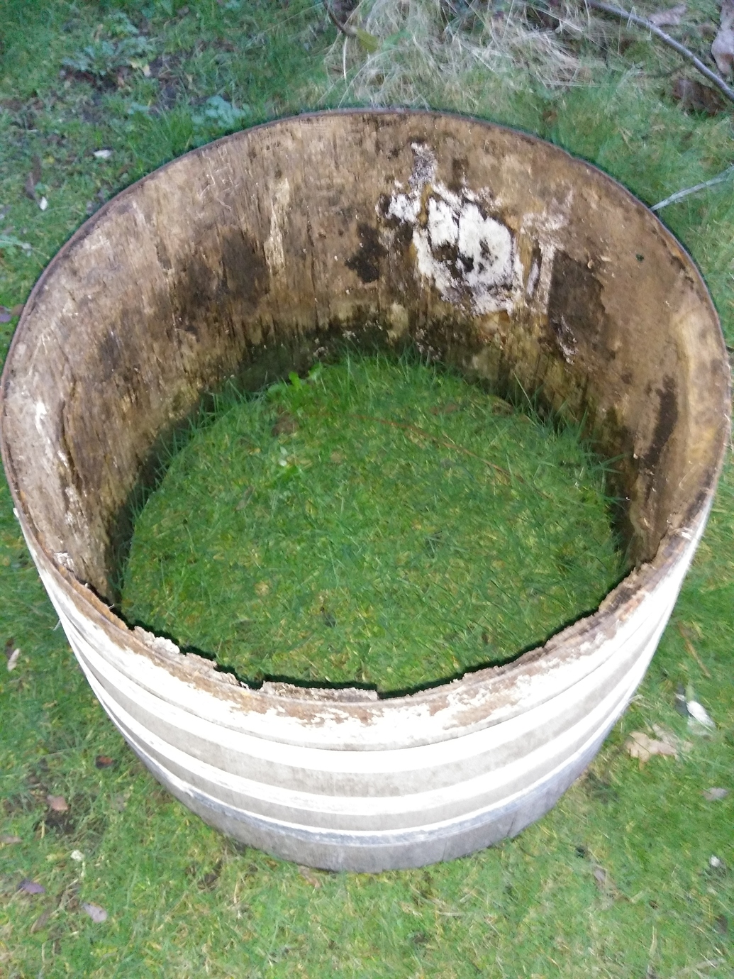 Renewing a Whiskey/Wine Barrel Bottom General Gardening Growing Fruit