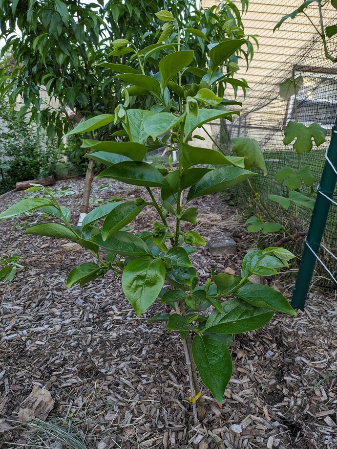 PXL_20240521_000202040