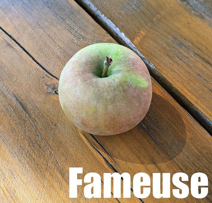 Fameuse_2024