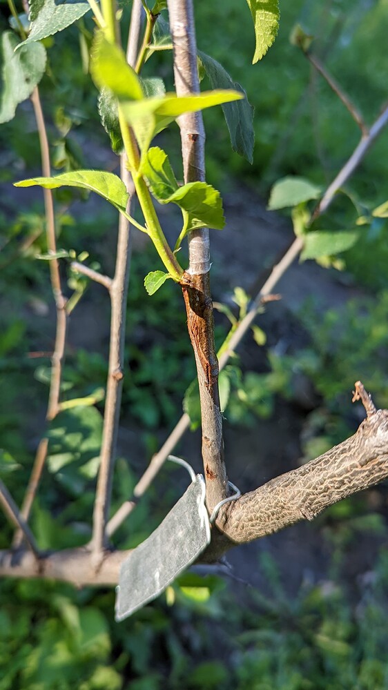 PXL_20220808_010938070