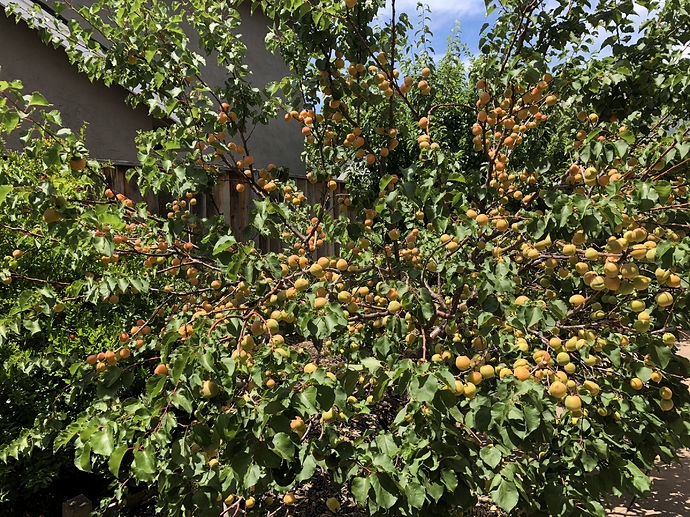 454B4B8A-EA13-49F3-9425-B7140C27E090