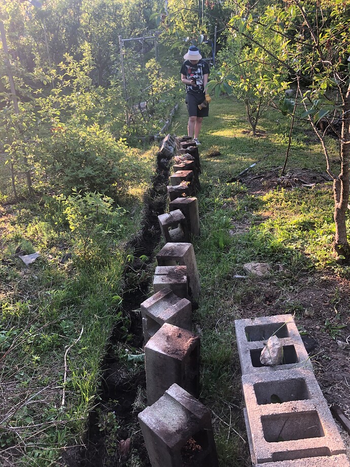 RB_removal_05-29-2023