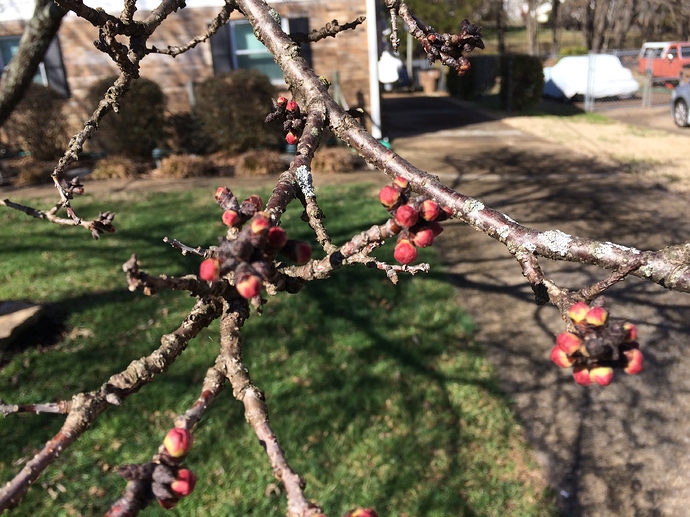 40729EB0-87C4-4FE3-B23D-31BA71595038