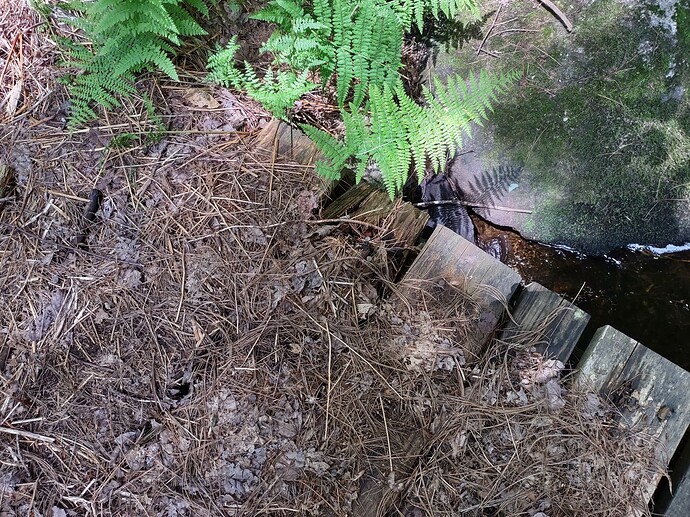 IMG_20230723_120533732_HDR