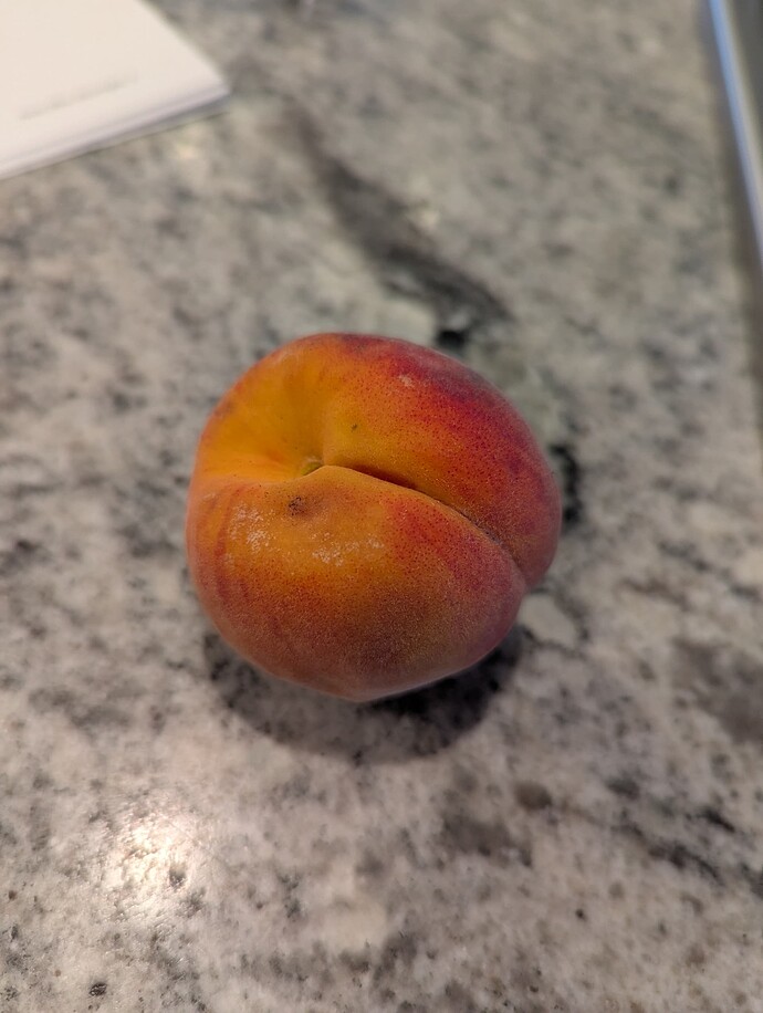 PXL_20250507_220645828