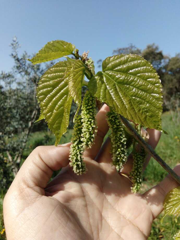 Imagem WhatsApp 2023-04-04 às 11.50.30