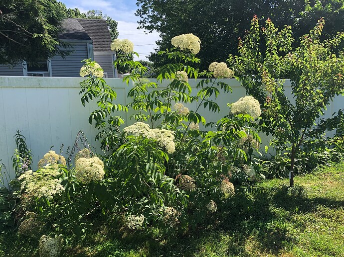 Bob_Gordon_a_07-09-2022