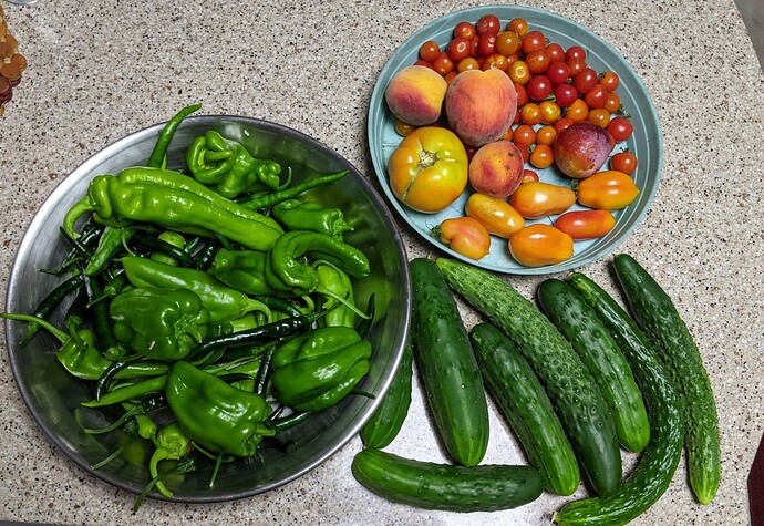 Harvest 08-01-21 2