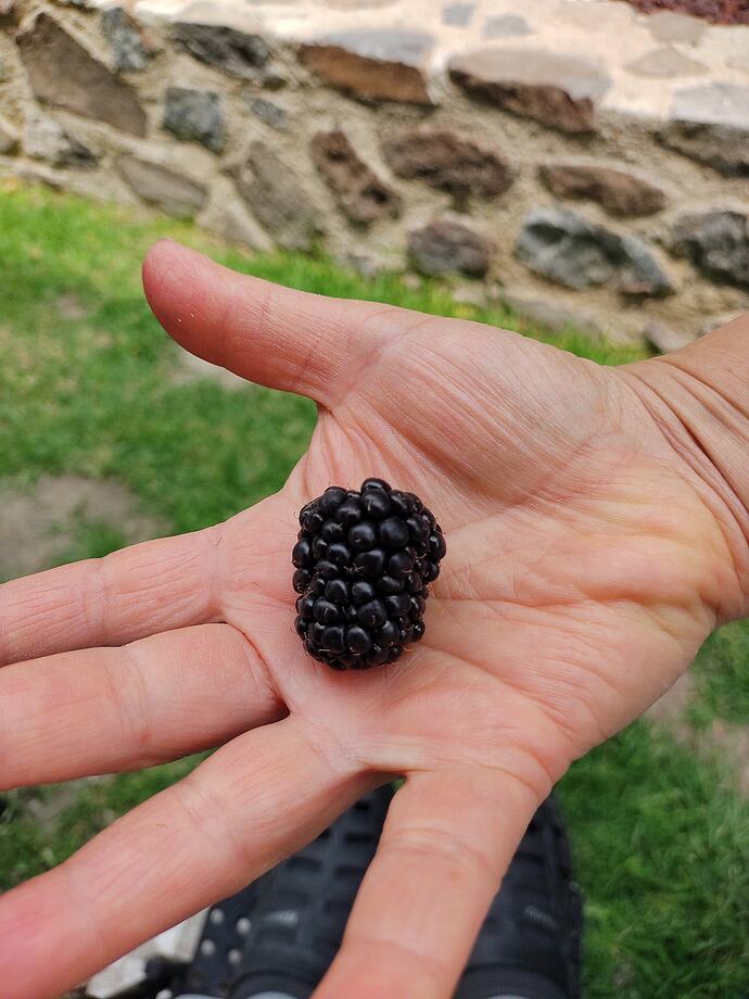 344740872_1357811714762927_2853303949878202529_n