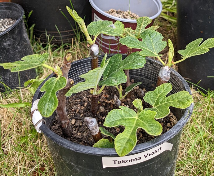 PXL_20220622_231921543