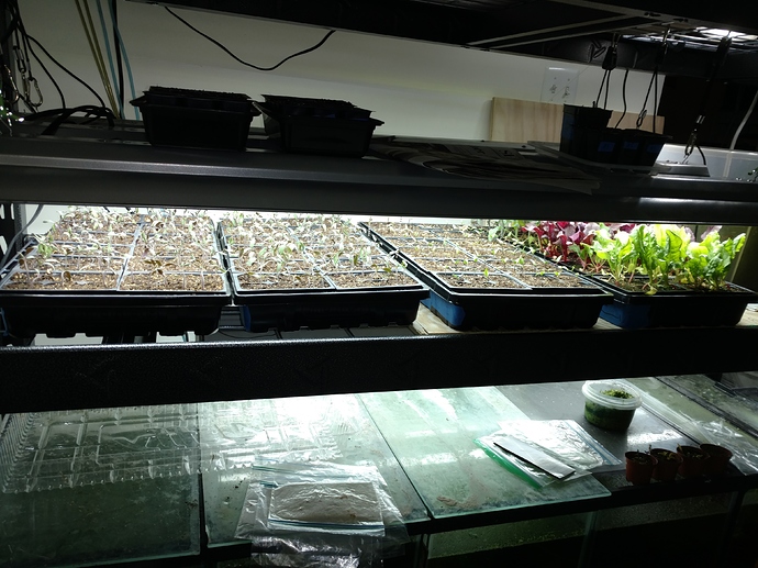 IMG_20190307_133642762