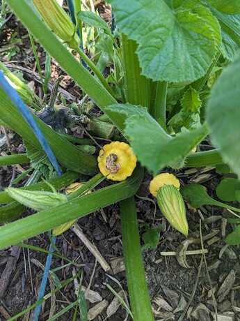 PXL_20240707_202010897