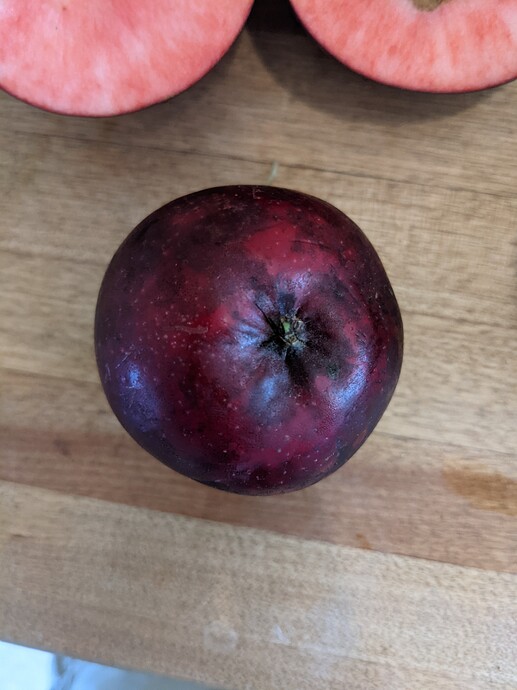 PXL_20211101_181645076