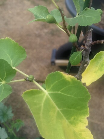 PXL_20220823_225412834.PORTRAIT