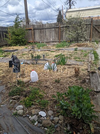 QVZqdkI5cFY0U1BFSlB4ZC02bllNWjdG