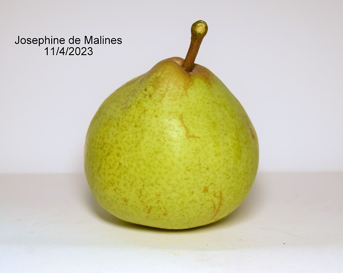 Josephine de MalinesBRS