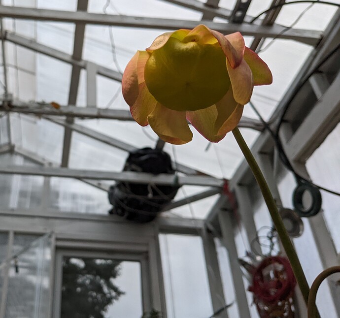 PXL_20220330_144843517.MP