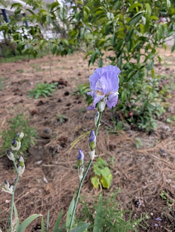 PXL_20250515_204327448