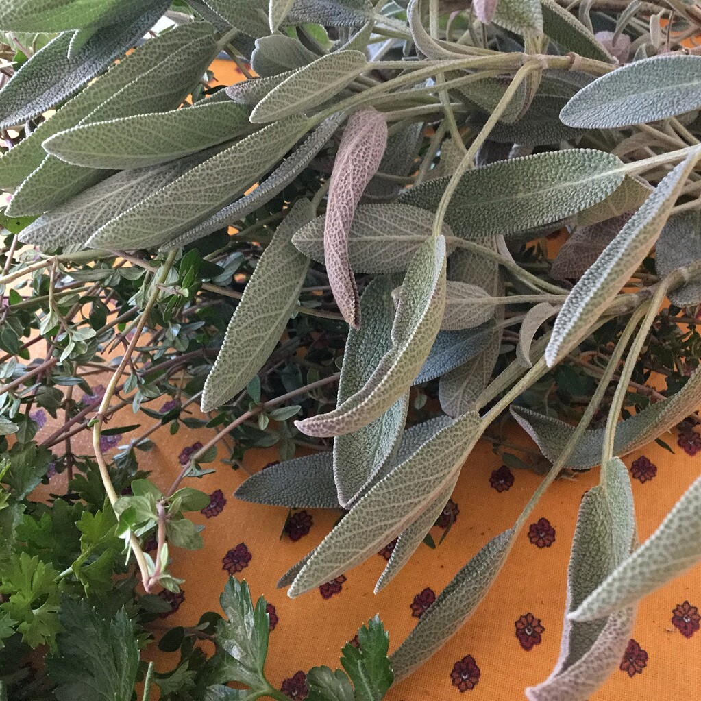 Your herbs for Thanksgiving - Fruit in the Kitchen - Growing Fruit