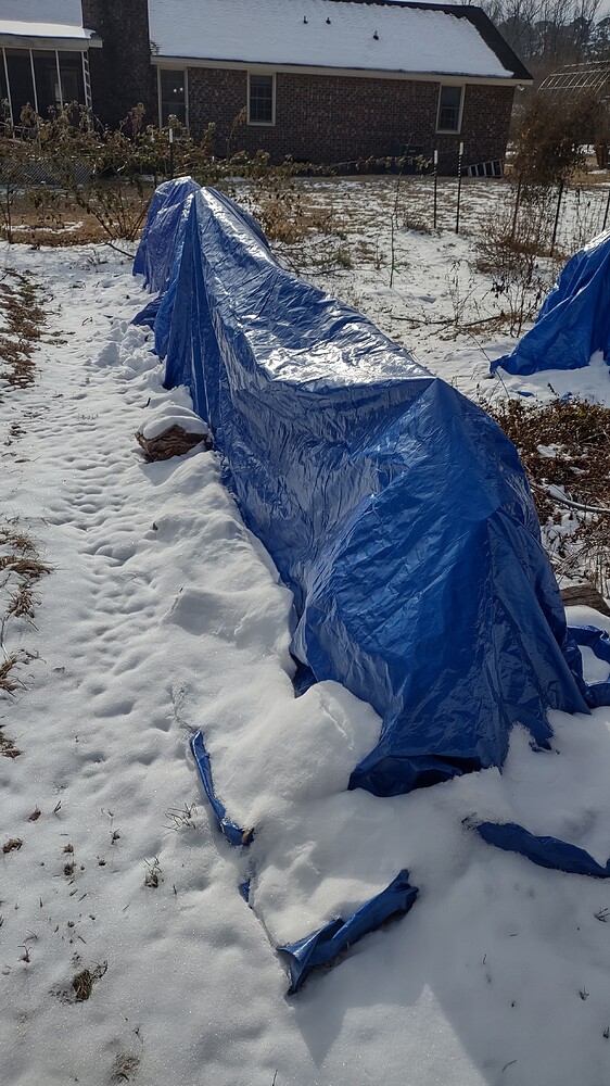 IMG_20250124_094154601_HDR