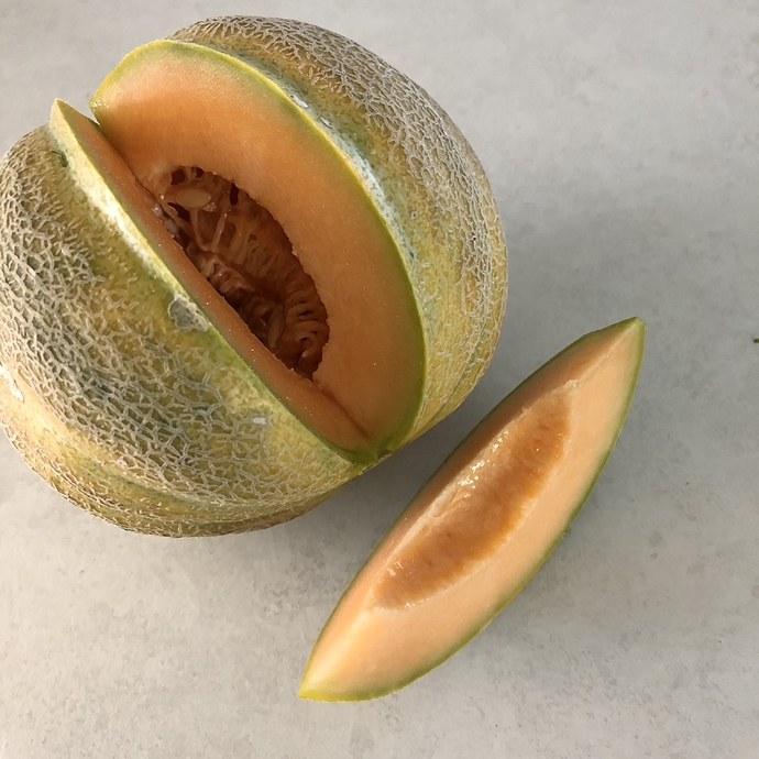 cantaloup%203%2018-08-2020