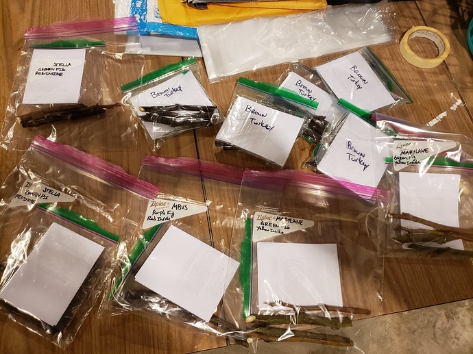 132195101_2859542040947547_2706748070434637860_n