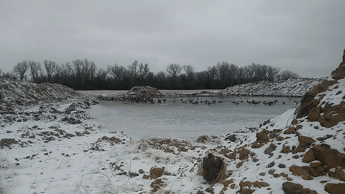 Screenshot_2021-02-10-15-04-45