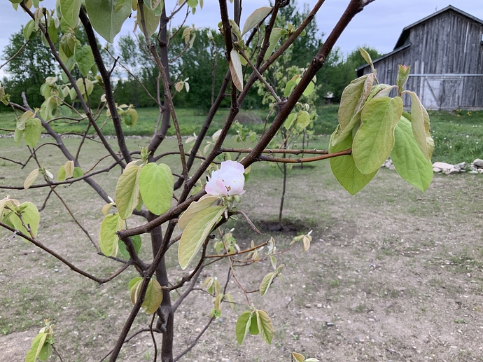 6C9F99E1-9470-4B13-9789-5AB6017379F2