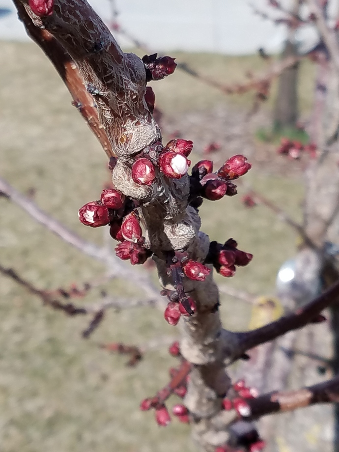 20180318_162509