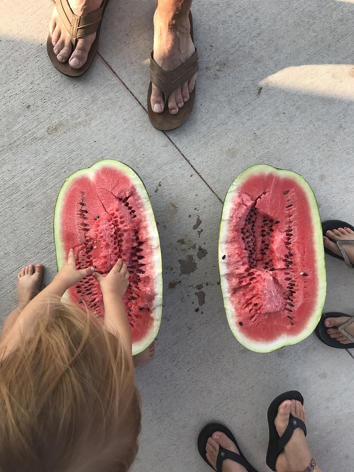 F5BF15FE-A658-41F8-8D8D-EA078523F837