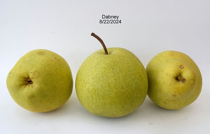Dabney8-22-2024#2RS
