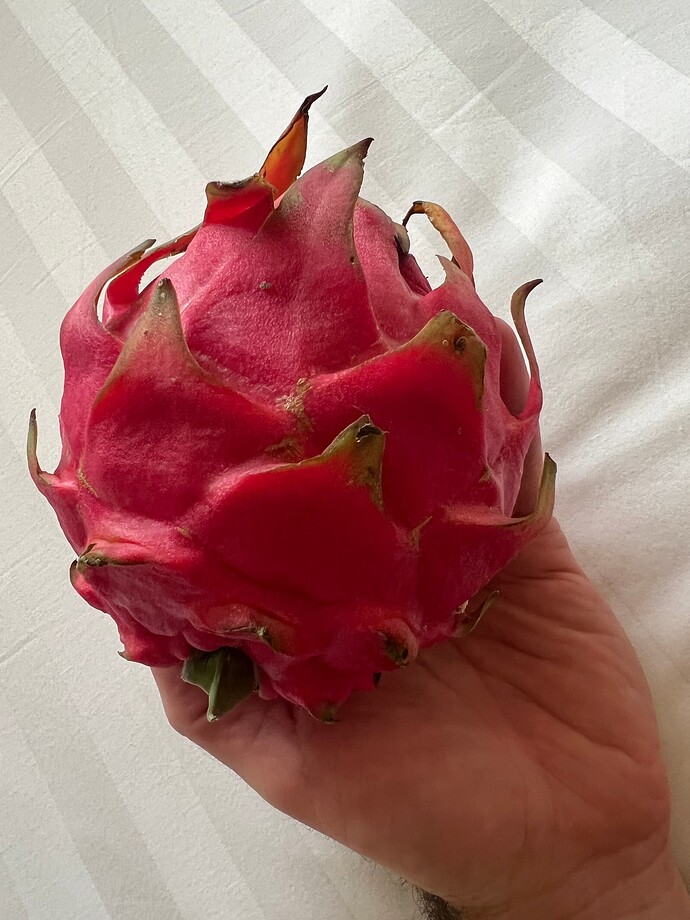 Dragonfruit_11-30-2024