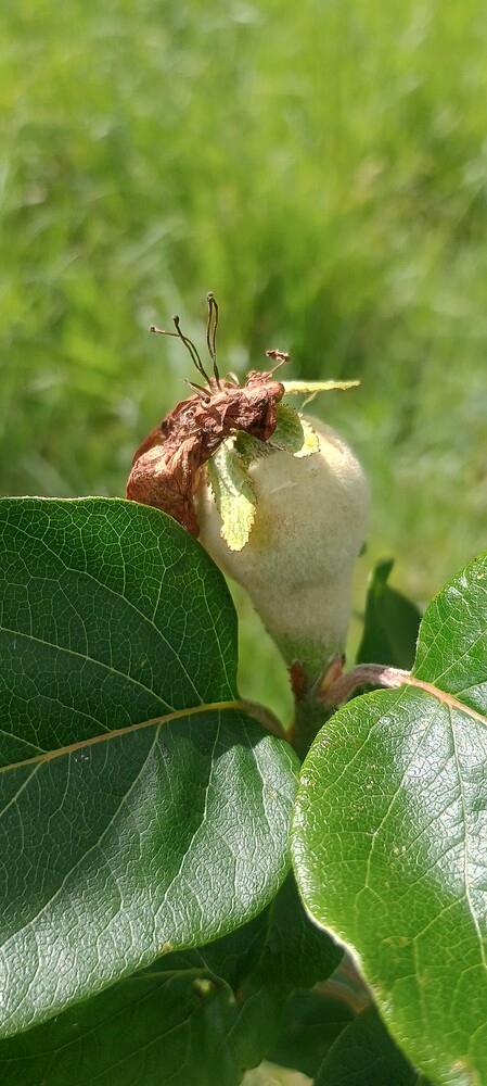 IMG_20250528_105237565_HDR