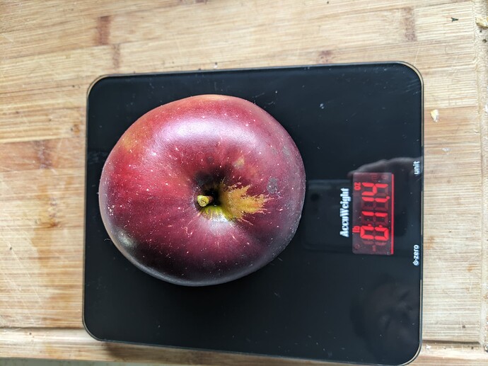 PXL_20231011_172922015